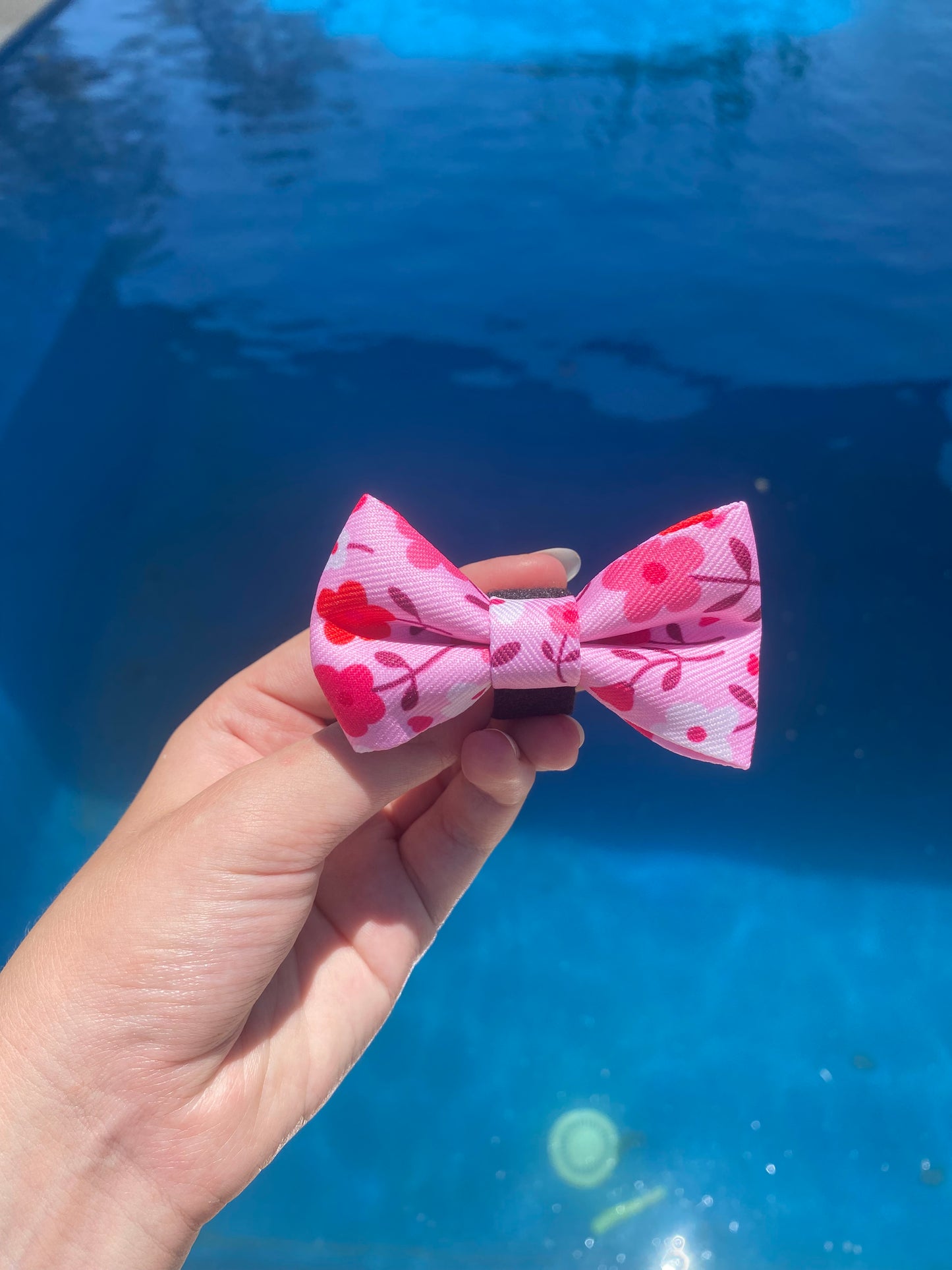 "Strawberry Sundays" Tiffany Bowtie
