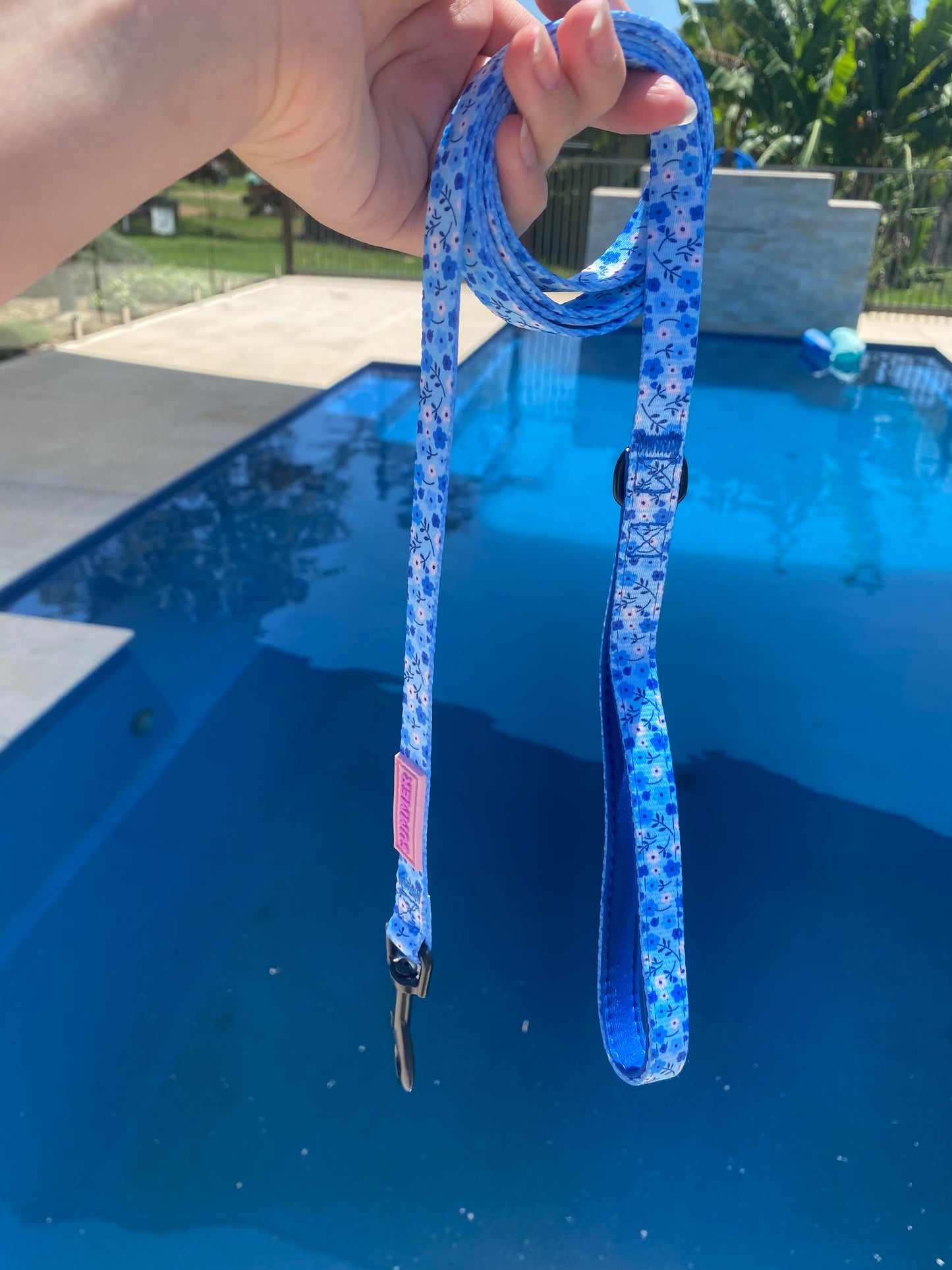 "Blueberry Bloom" Dog Leash