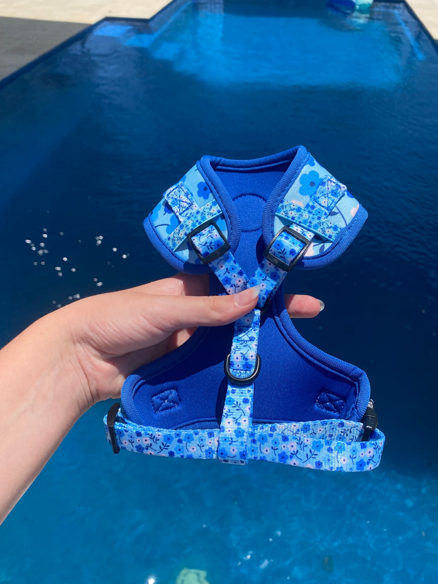 "Blueberry Bloom" Adjustable Harness
