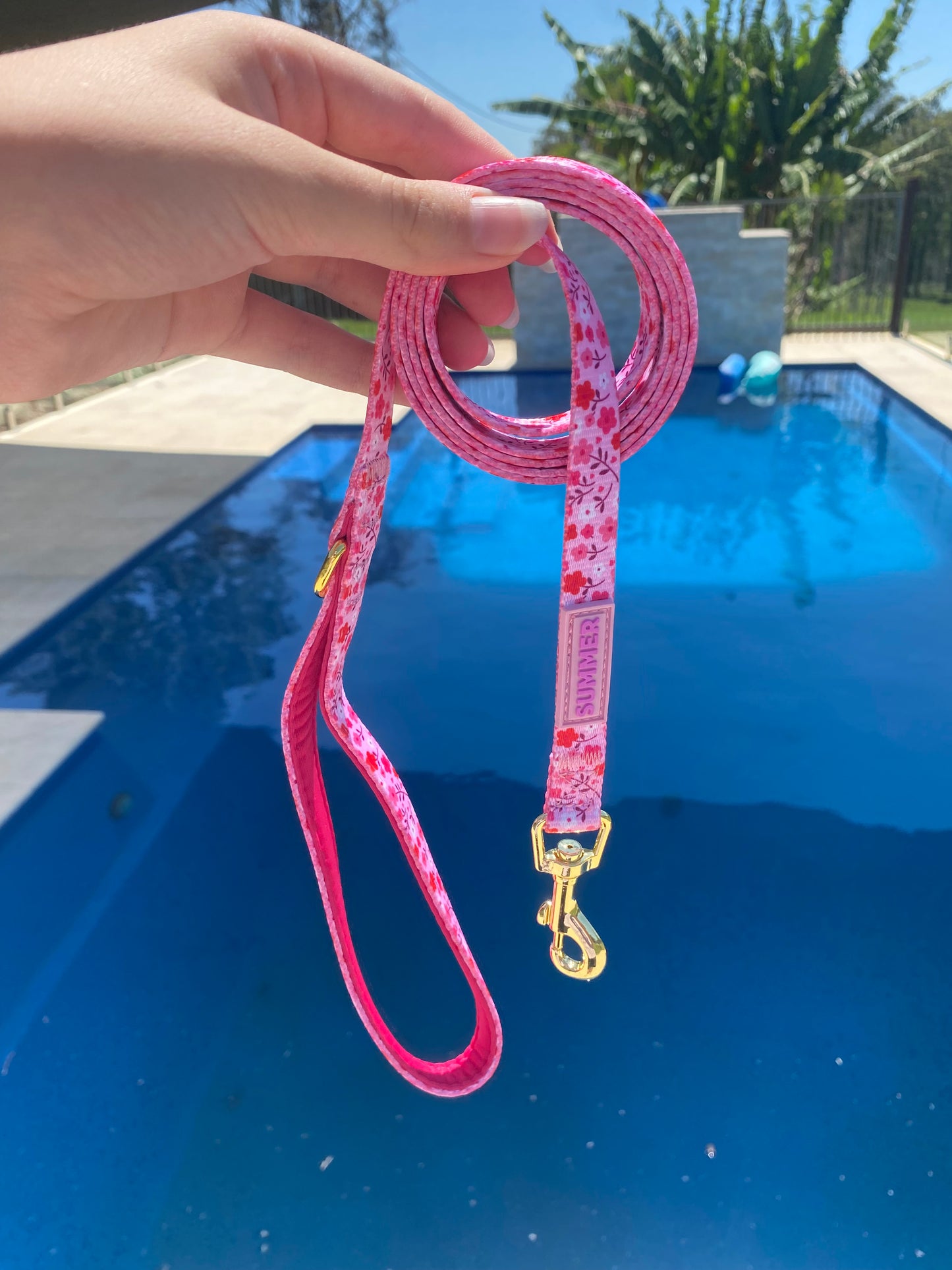 "Strawberry Sundays" Dog Leash