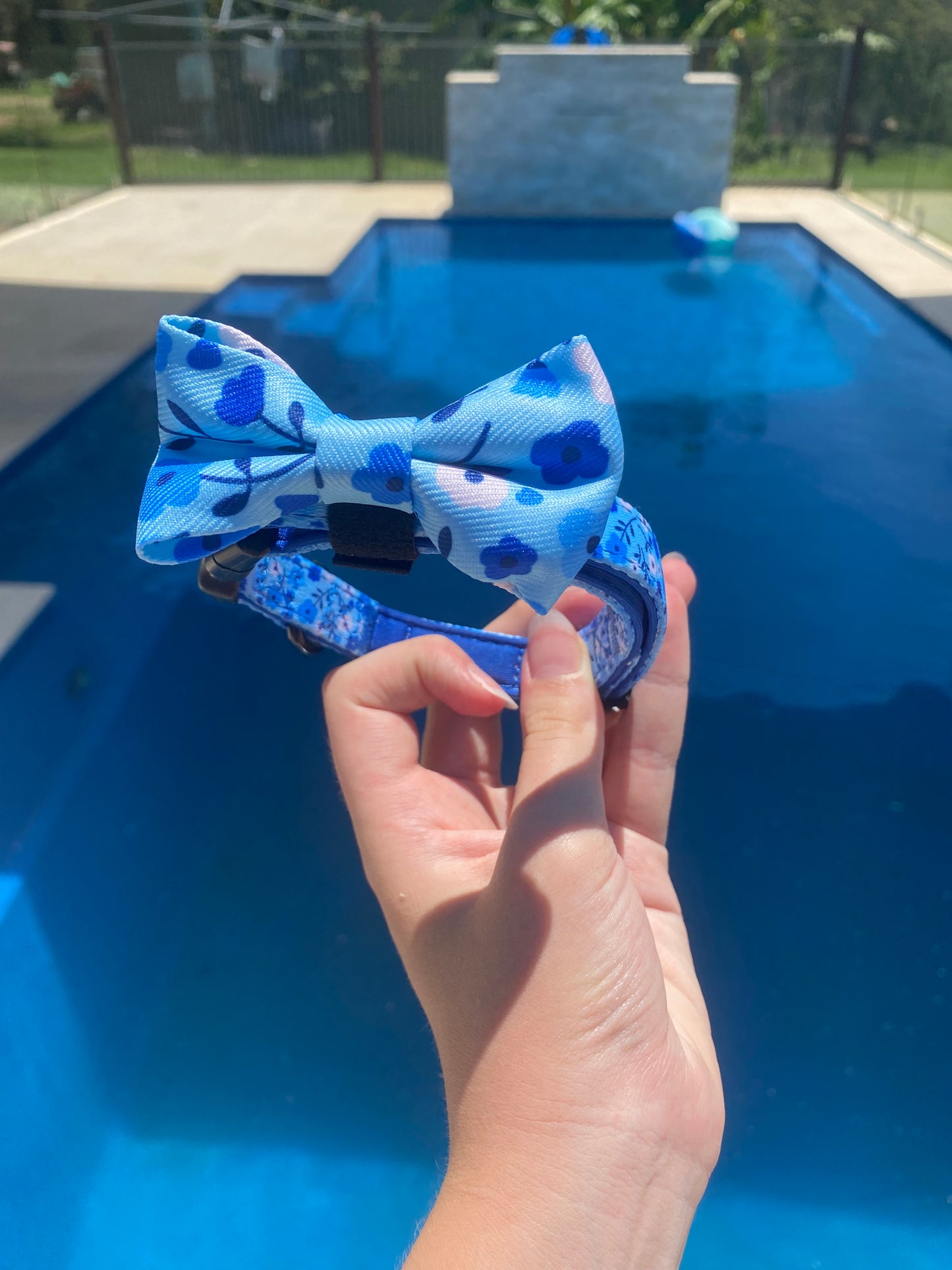 "Blueberry Bloom" Tiffany Bowtie