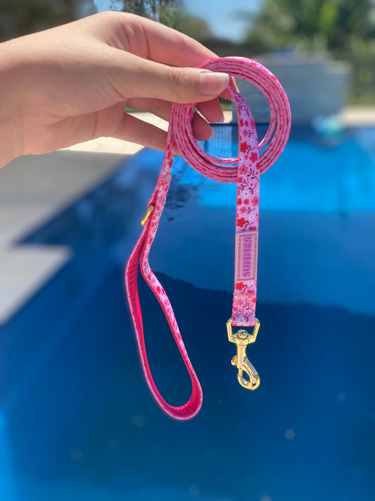 "Strawberry Sundays" Dog Leash