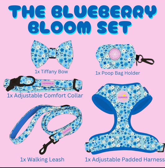 The Complete Blueberry Burst Set