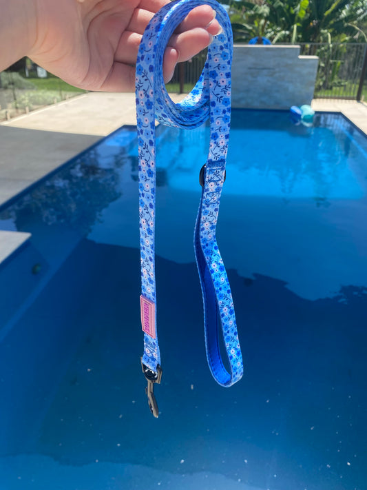 "Blueberry Bloom" Dog Leash