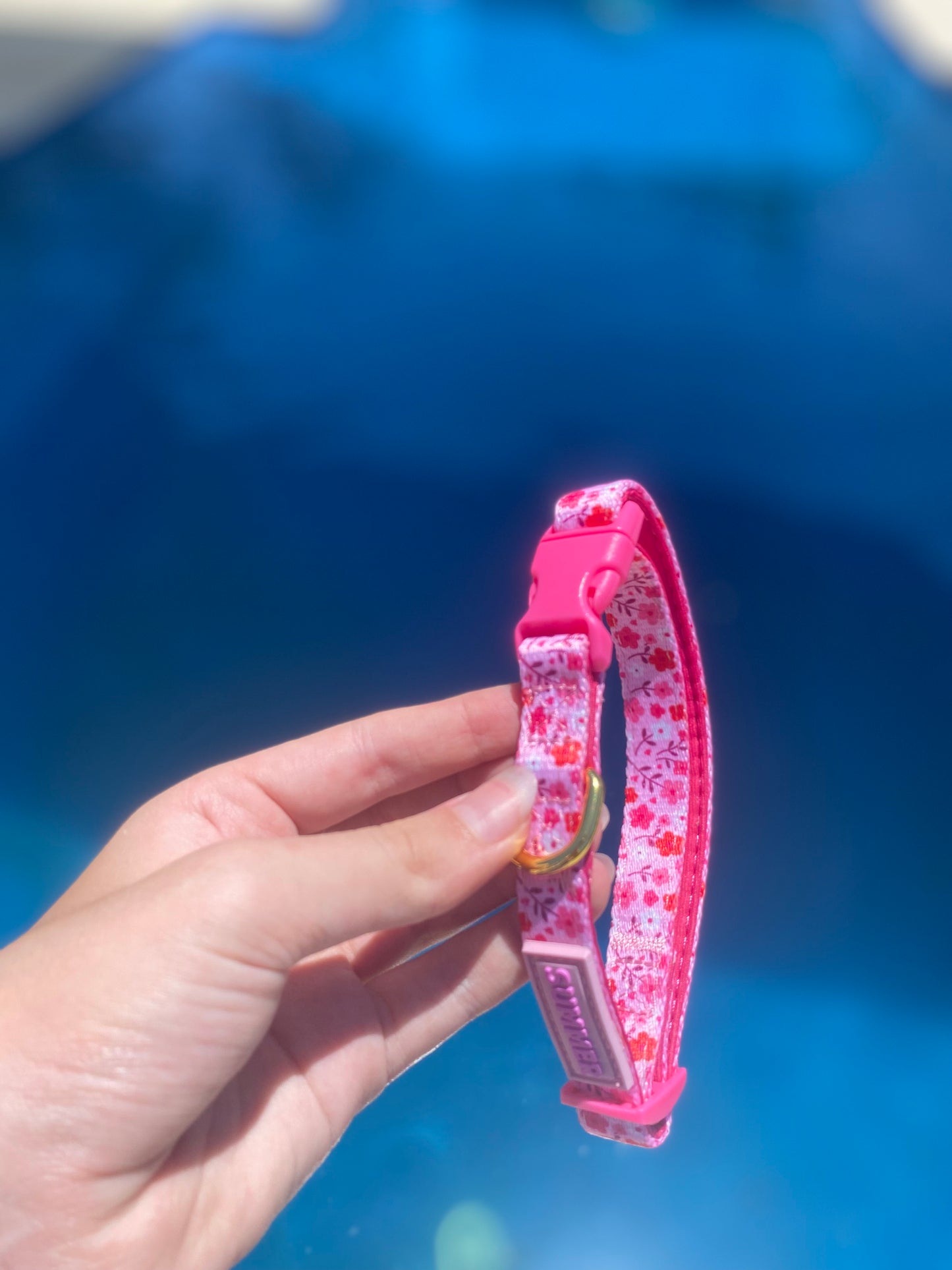 "Strawberry Sundays" Adjustable Dog Collar