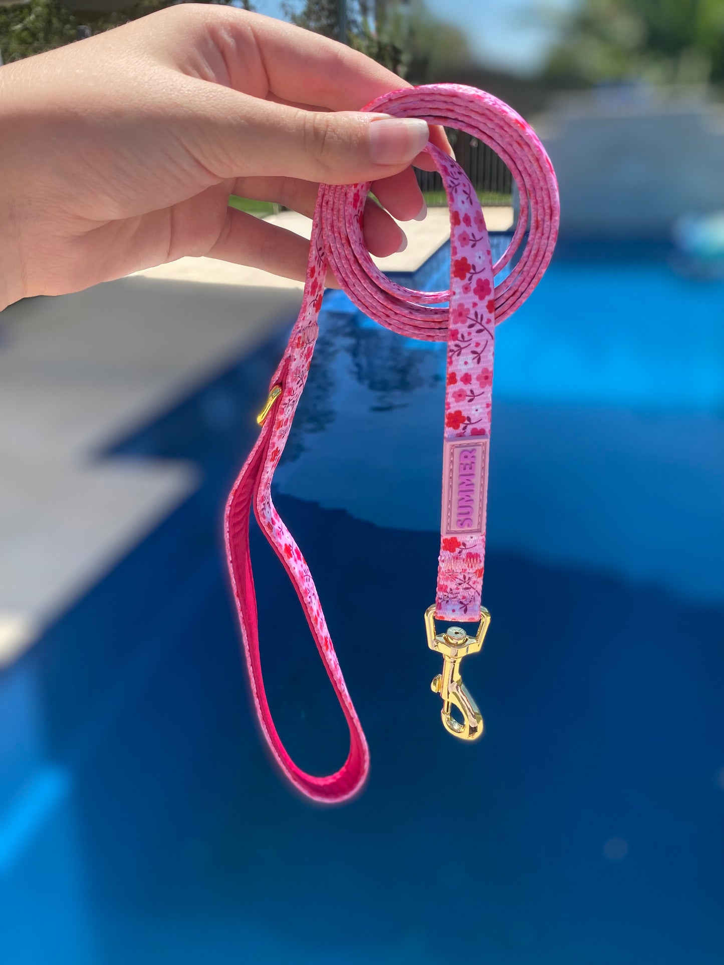 "Strawberry Sundays" Dog Leash