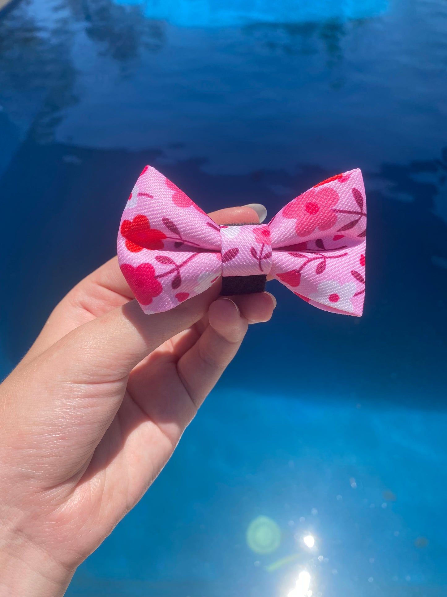 "Strawberry Sundays" Tiffany Bowtie