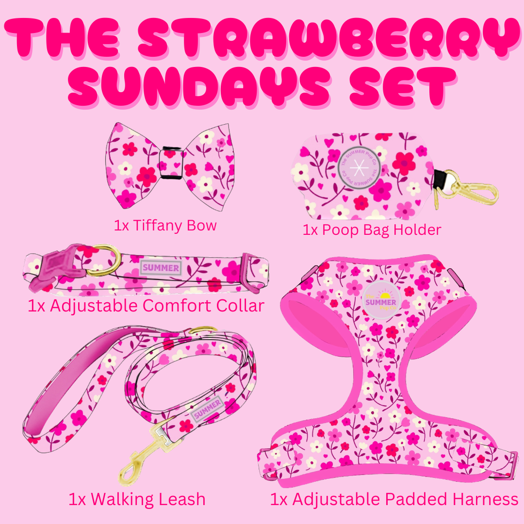 "Strawberry Sundays" Adjustable Dog Collar