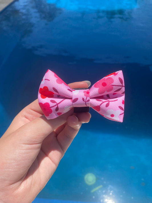 "Strawberry Sundays" Tiffany Bowtie