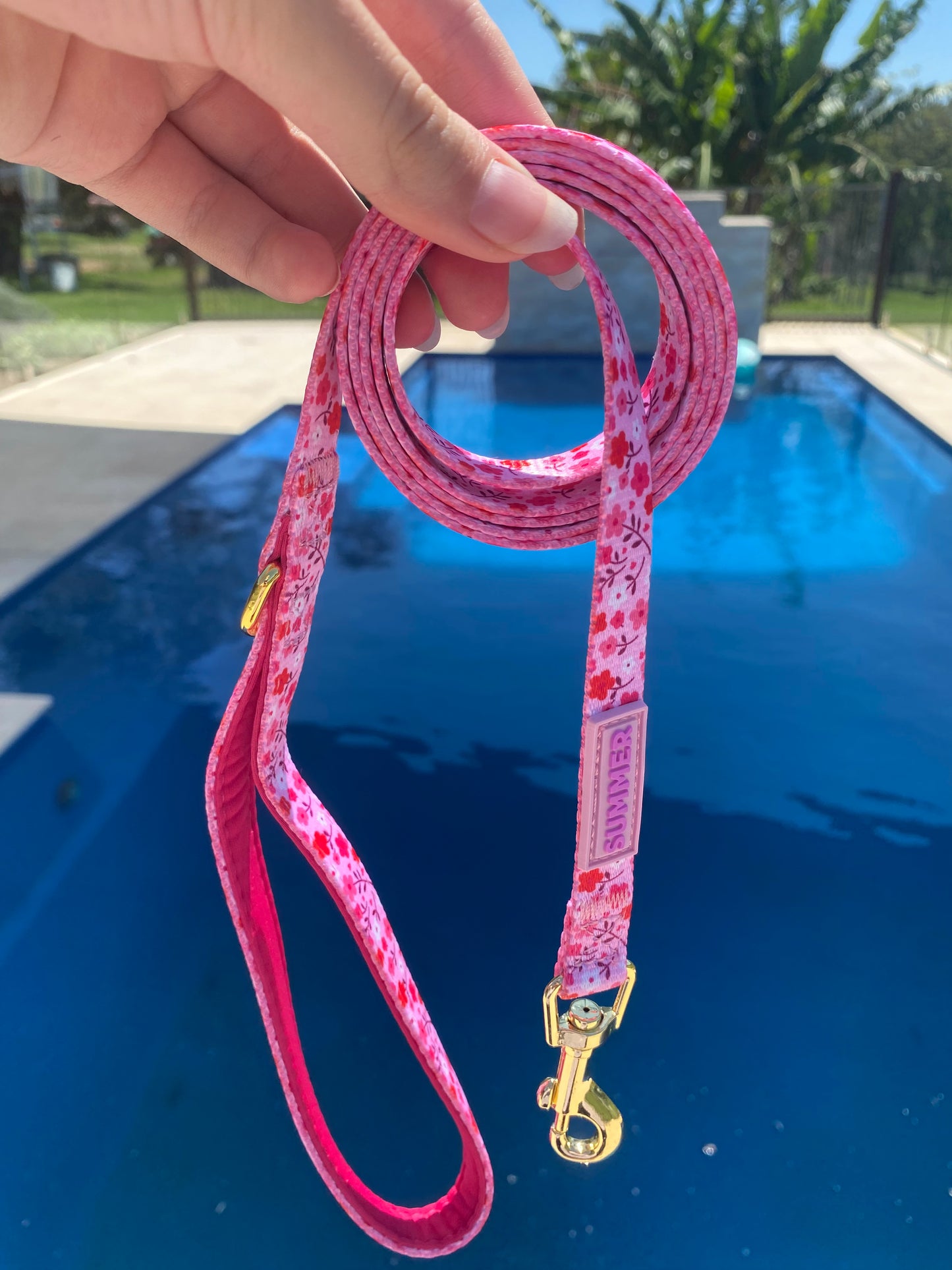 "Strawberry Sundays" Dog Leash